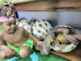 /album/fotogaleria-brazilia-zajazd-vy-a-my/brazilia-zajazd-75-jpg/